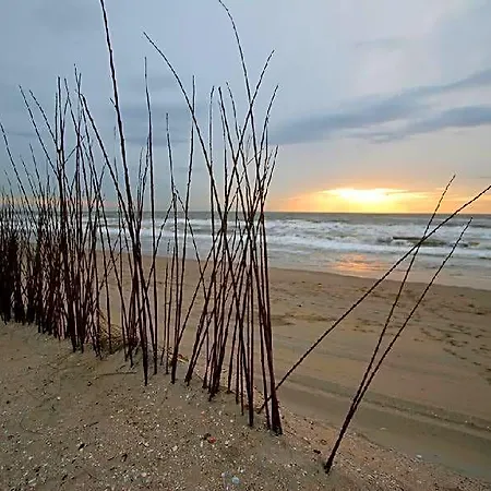 't Hofje 350 Meter Het * Noordwijk
