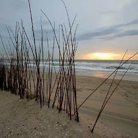 't Hofje 350 Meter Het * Noordwijk