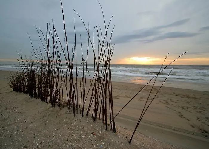 't Hofje 350 Meter Het * Noordwijk